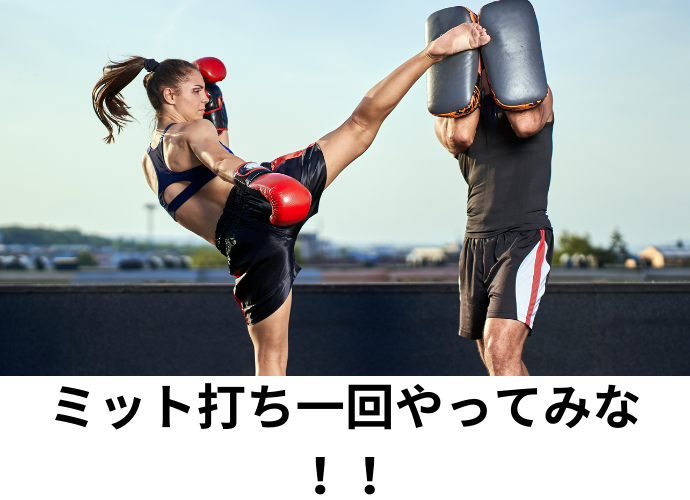 グローブ 暗闇ボクシング LAVA 鍛える